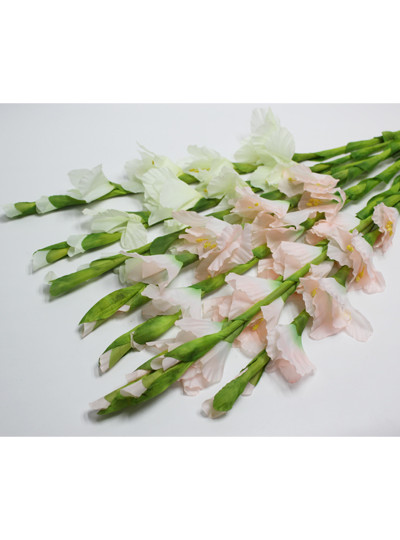 글라디올러스조화(10개)