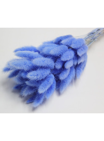 라그라스(블루)