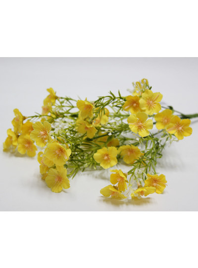 프록스부쉬조화(노랑)6줄기