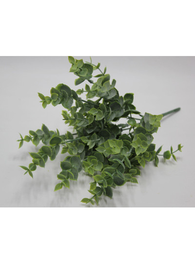 유카리부쉬조화(7줄기)35cm