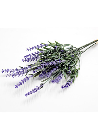 라벤다픽번들조화(진보라)5줄기