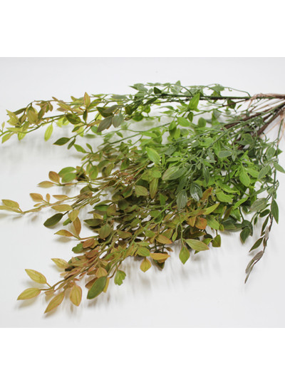 레몬잎부쉬조화(레드)16줄기