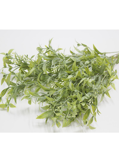 베리루스커스부쉬 조화(10줄기)