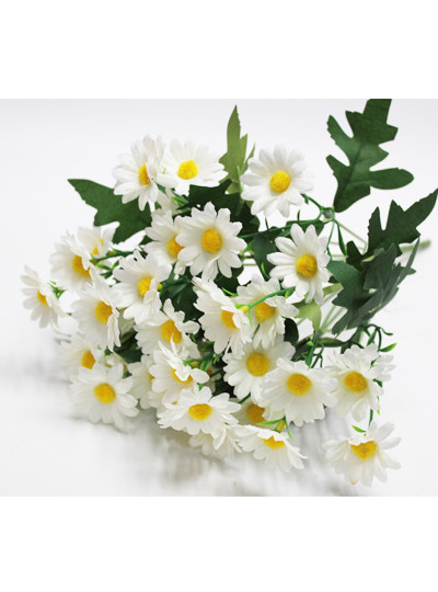 구절초부쉬조화(크림)12줄기