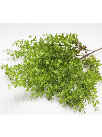 화양목부쉬조화(4줄기)