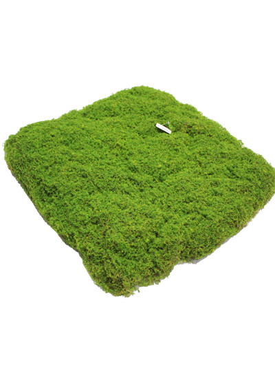 이끼매트조화(50cm*50cm)