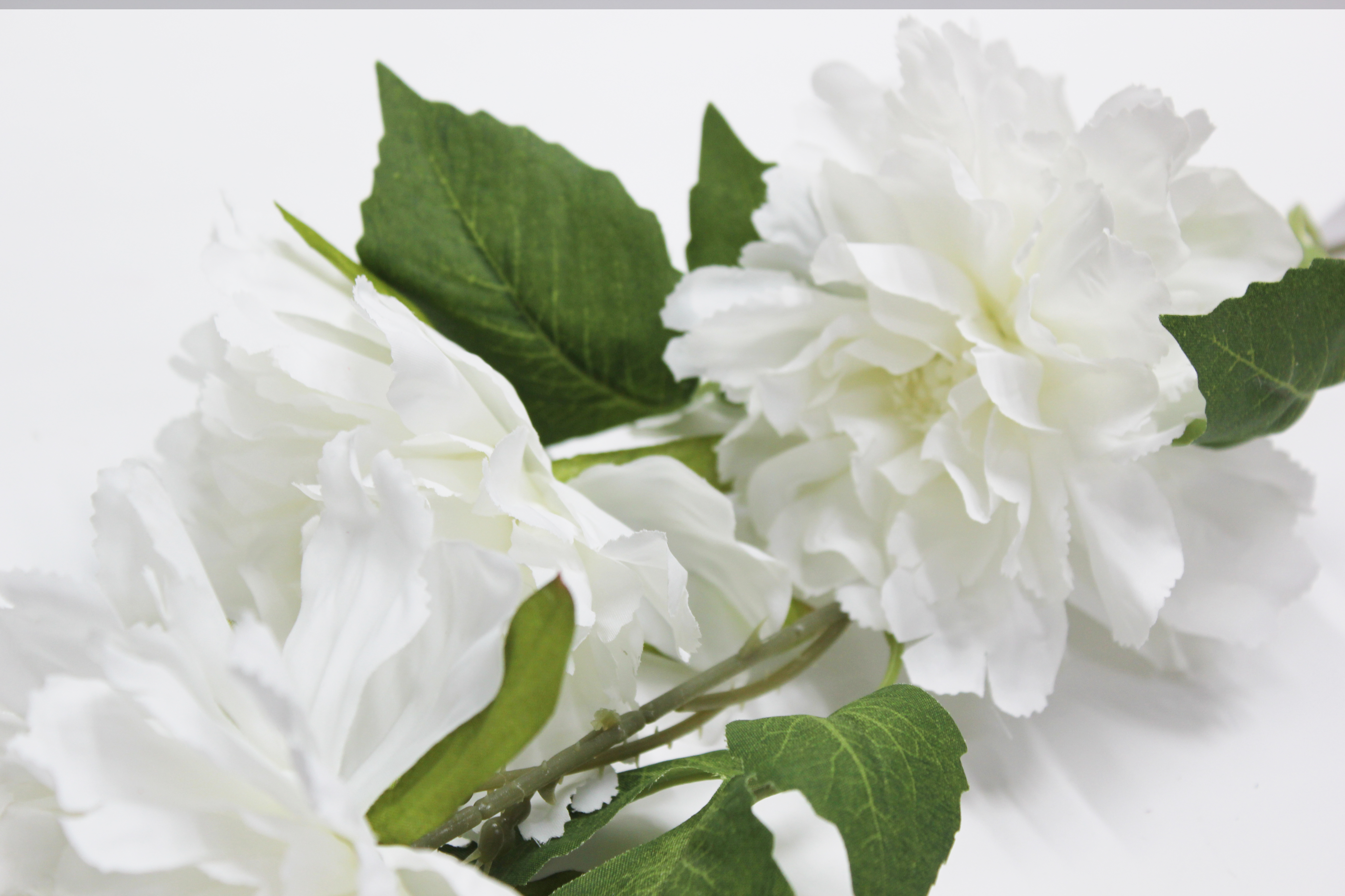 로즈히비스커스가지 조화(크림)