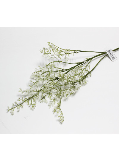 카스피아가지 조화(크림)