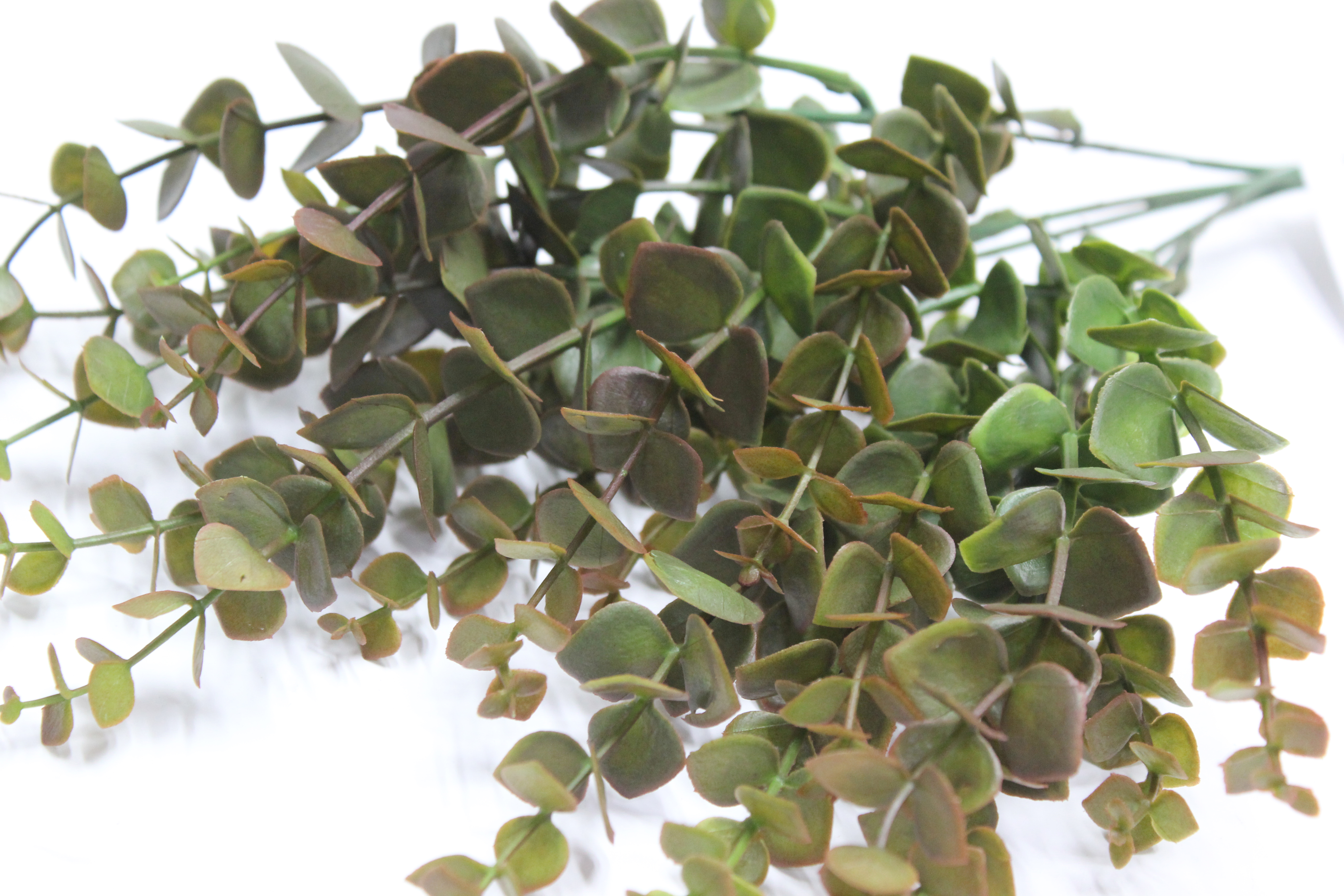 5대유카리부쉬 조화(그린레드)