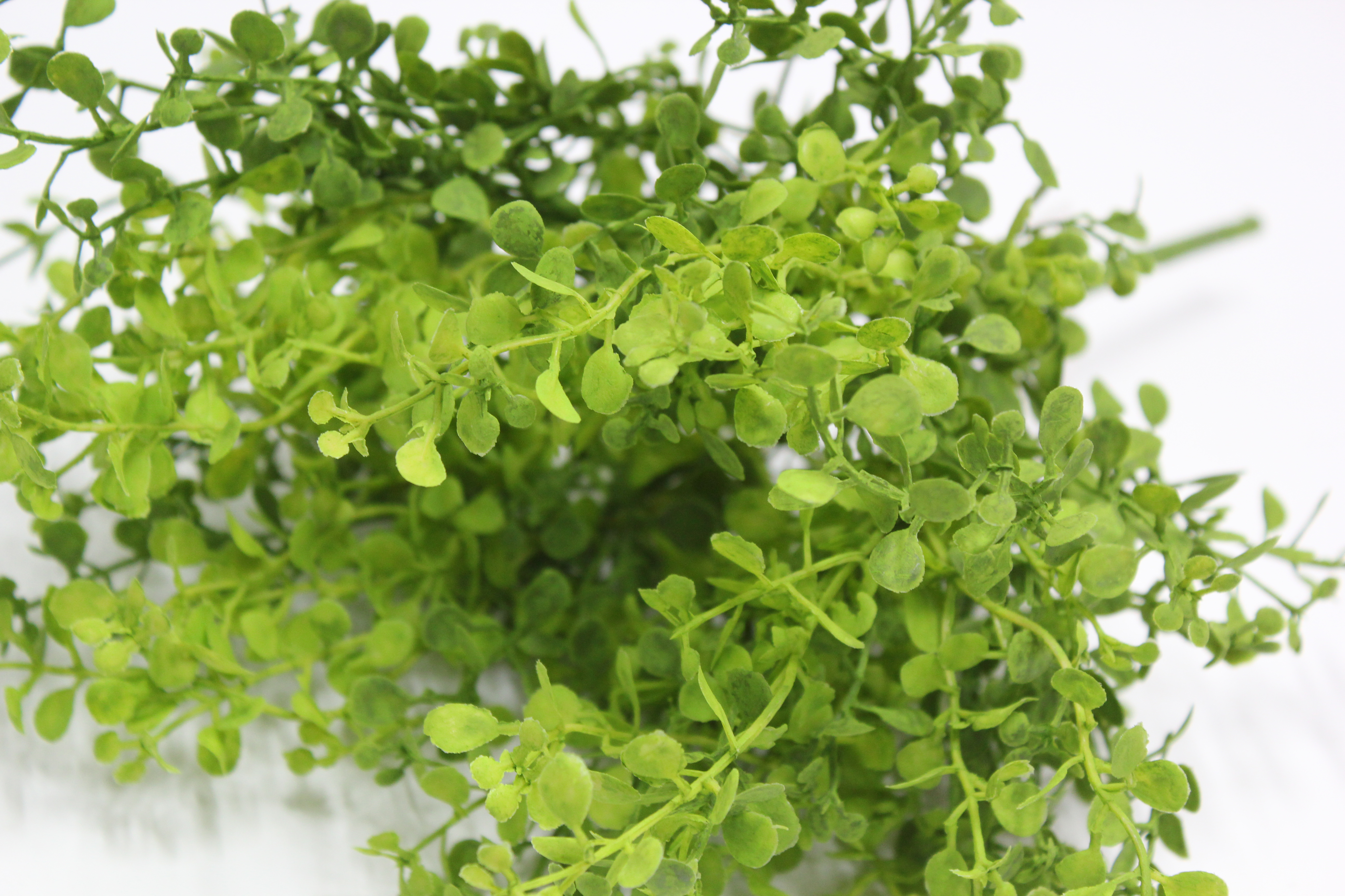 미니버튼잎부쉬 조화(그린)