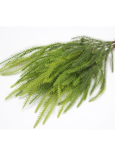 몽키테일부쉬 조화