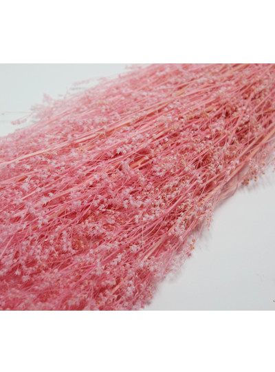 프리져브드 베이비스타(핑크)110g