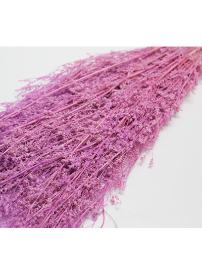 프리져브드 베이비스타(보라)110g