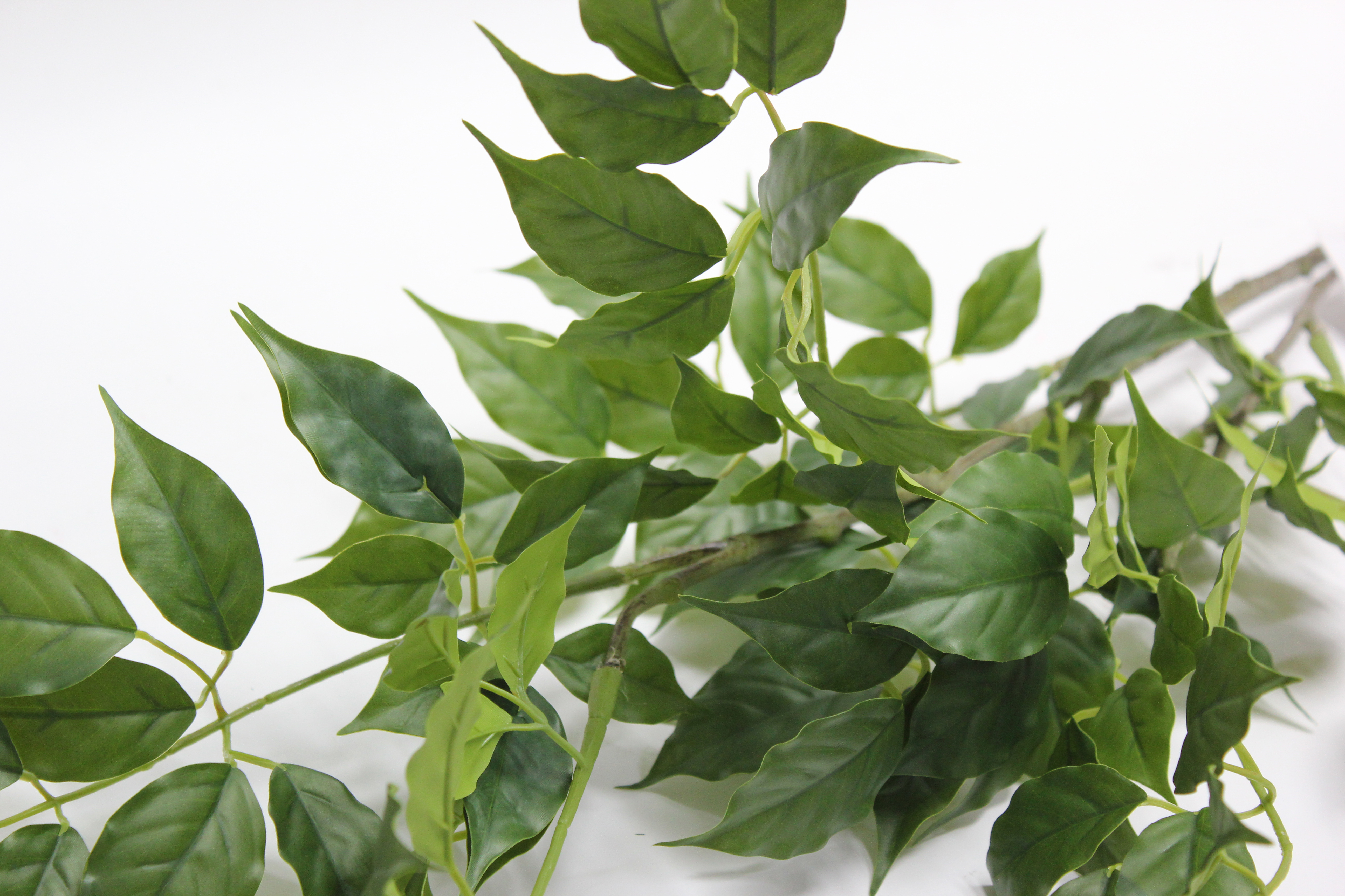 벤자민나무가지 조화