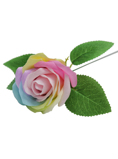 비누장미 무지개(25개)