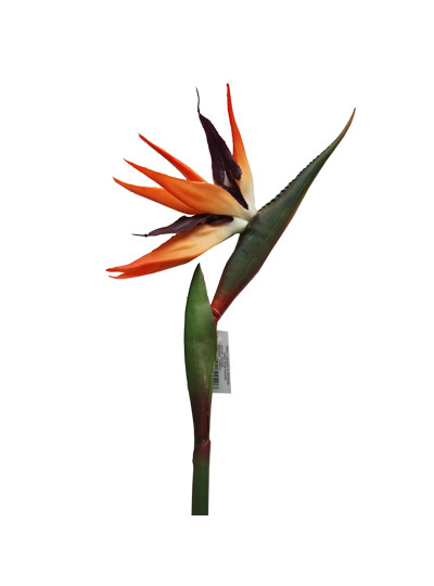 극락조가지 조화