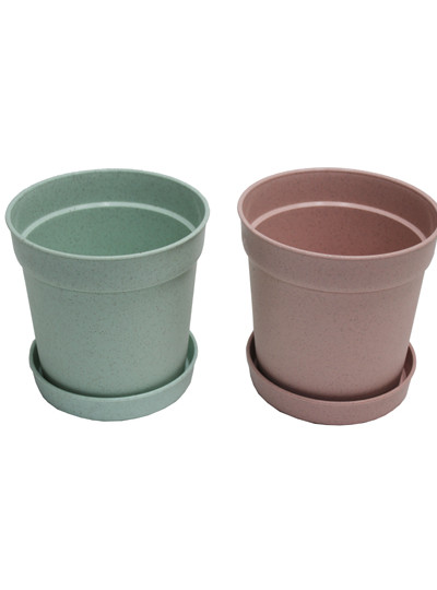 플라스틱화분12cm용(10개)