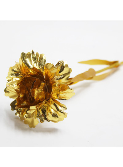 골드카네이션(10개)