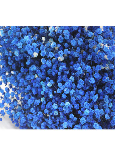 프리져브드안개(파랑)약380g